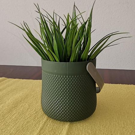 אוהריד Center Apartment Delfina מראה חיצוני תמונה